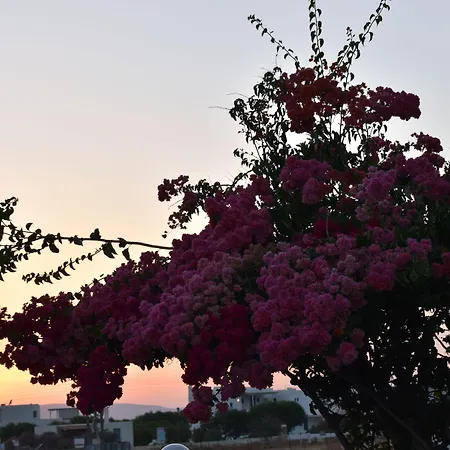 Diamantis Studios&apartments 2*