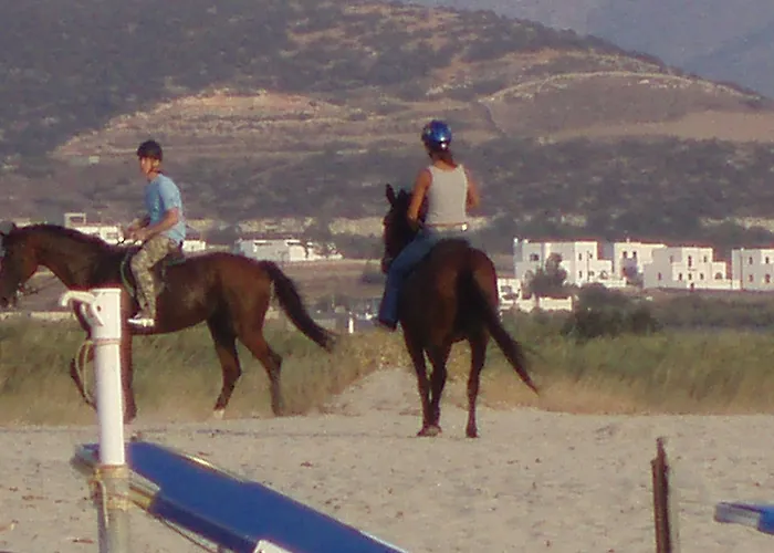 Diamantis Studios&apartments 2* Mikri Vigla